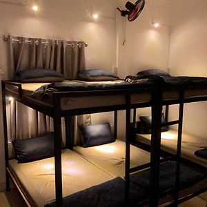 Bunk Bed Mixed Dormitory Room